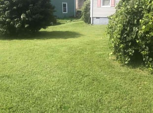 Greg J.'s turf maintenance service result