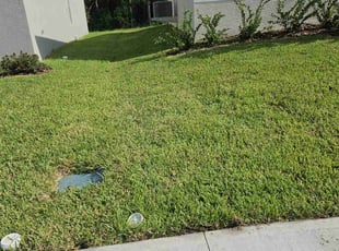 Stephen D.'s grass maintenance service result