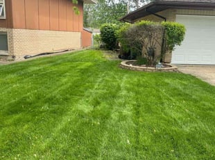 Sophia S.'s turf maintenance service result