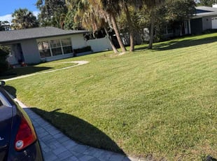 Jose T.'s grass maintenance service result