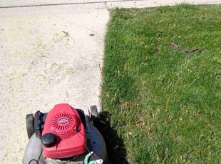 KININE K.'s lawn maintenance service result