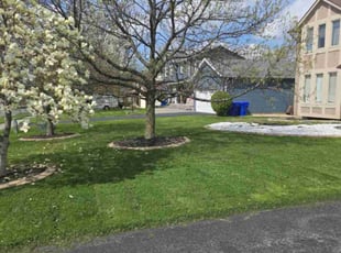 Lindsay L.'s lawn care services service result