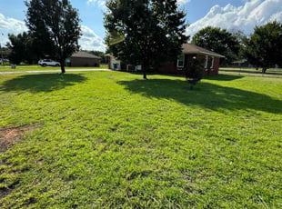 Erica S.'s lawn care service result