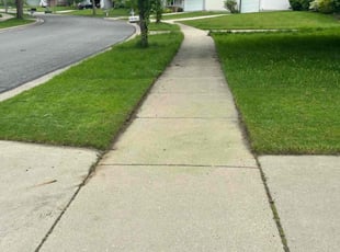 Patricia T.'s lawn care services service result