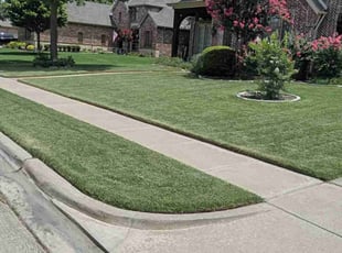 Susan A.'s lawn maintenance service result