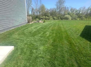 Grace W.'s turf maintenance service result