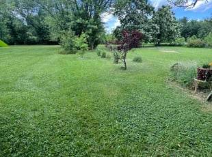 Susan H.'s lawn service service result