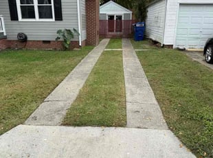 Sherene A.'s Long Grass Cleanup service result