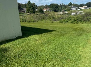 Courtney W.'s grass cutting service result