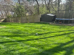 Amy E.'s turf care service result