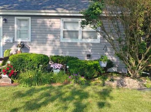 Holli M.'s Bush Trimming service result