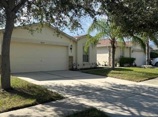 Steven L.'s lawn care service result