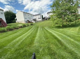 Marcus P.'s turf care service result