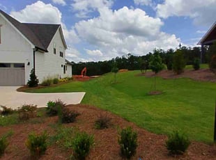 Corey M.'s grass cutting service result