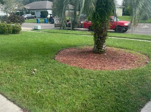 David M.'s lawn care services service result
