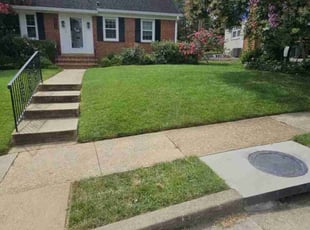 John A..'s grass maintenance service result