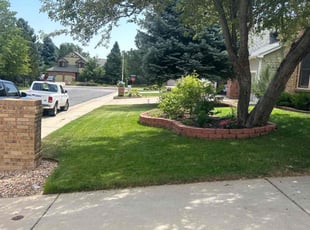 Kelley W.'s lawn care service result