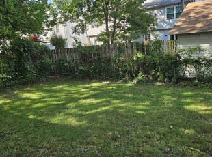 Ed M.'s grass cutting service result