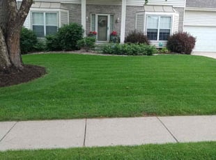 Janet Y.'s grass cutting service result