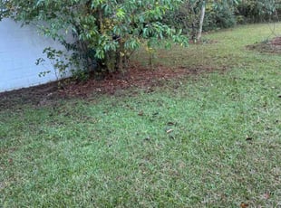 Tamara W.'s lawn care service result