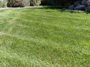 John R.'s grass cutting service result