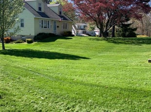Sam G.'s turf maintenance service result