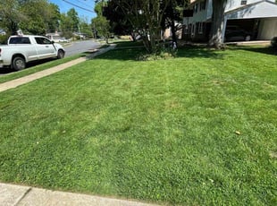 Phyllis R.'s lawn maintenance service result