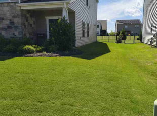 Pam C.'s yard work service result