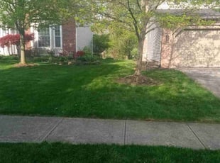 Sung C.'s lawn care services service result