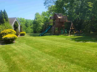 Valencia H.'s turf care service result