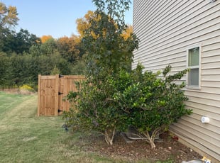 Joshua B.'s Bush Trimming service result