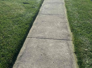 James L.'s lawn care services service result