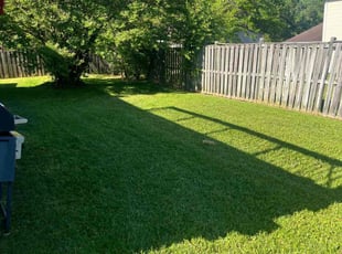 Sandra H.'s turf care service result