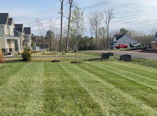 Amy W.'s turf maintenance service result