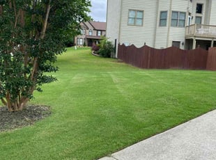 Moises H.'s lawn maintenance service result