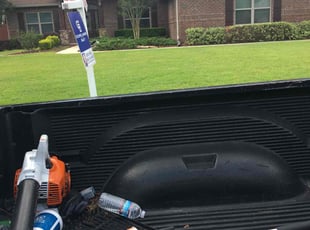 Cathy C.'s lawn maintenance service result