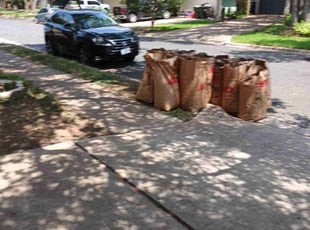 Aaron M.'s Leaf Removal service result