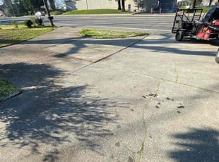 Sharon M.'s Leaf Removal service result