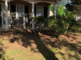 Kamilah C.'s Bush Trimming service result