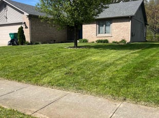 Susan S.'s lawn care services service result