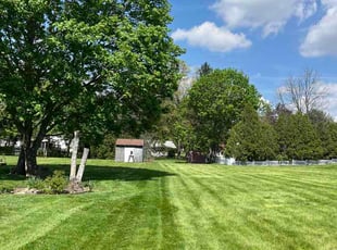 Gabby R.'s lawn care services service result