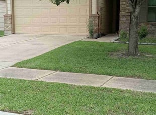 Angela B.'s yard maintenance service result