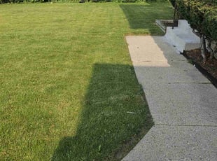 Judy Y.'s lawn care service result
