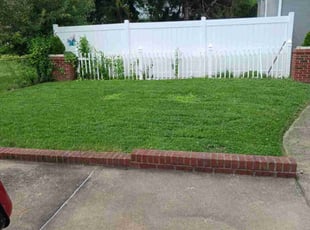 Rachel G.'s grass cutting service result