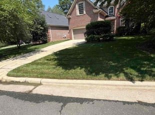 David M.'s turf maintenance service result