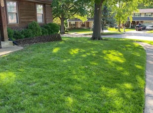 Cristian P.'s lawn maintenance service result