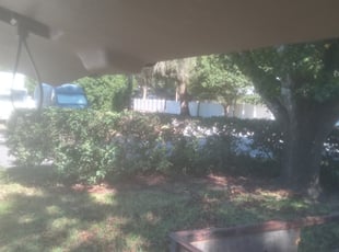 Scott H.'s Bush Trimming service result