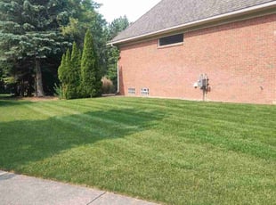 Crystal S.'s turf maintenance service result