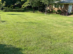 Ward N.'s lawn maintenance service result