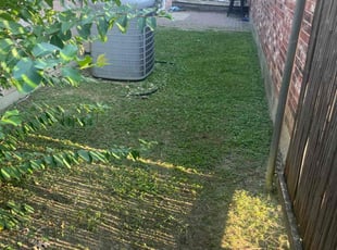 Spencer P.'s turf care service result